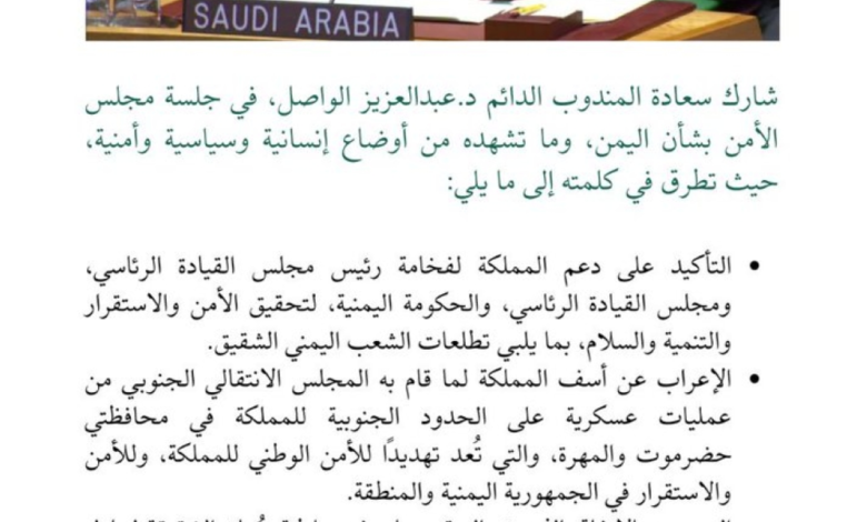 Saudi Arabia at the Security Council: Decisive messages for the stability of Yemen