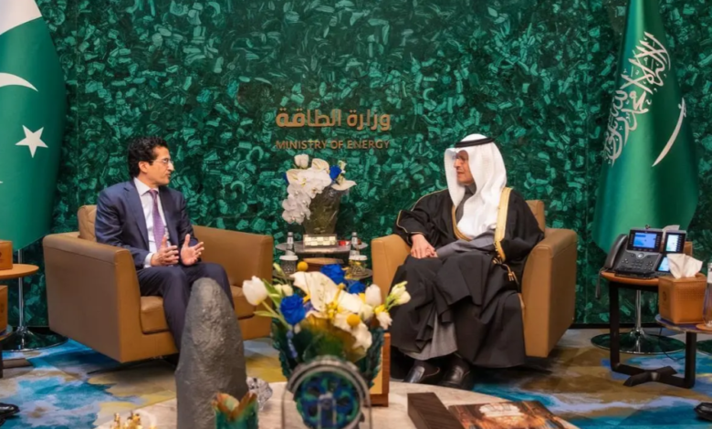 The Minister of Energy discusses strengthening oil and investment cooperation with Pakistan