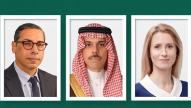 وزير الخارجية يبحث مستجدات المنطقة مع الاتحاد الأوروبي وقبرص