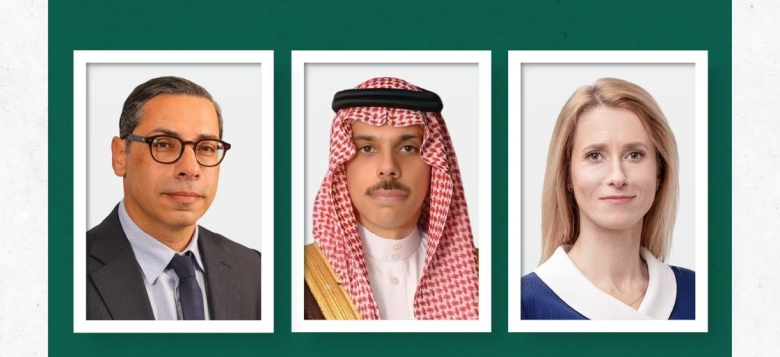 وزير الخارجية يبحث مستجدات المنطقة مع الاتحاد الأوروبي وقبرص