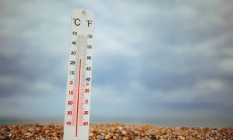 Today's weather in Saudi Arabia: Temperatures and weather phenomena