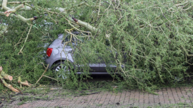 Australia: Floods and bushfires hit Victoria, warnings issued to residents