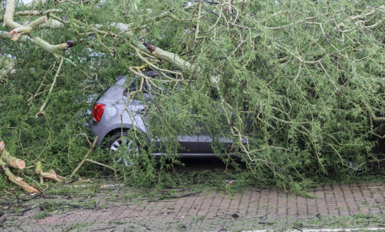 أستراليا: سيول وحرائق غابات تضرب فيكتوريا وتحذيرات للسكان