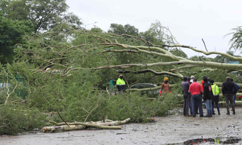 Floods in South Africa and Mozambique: More than 100 dead and warnings continue