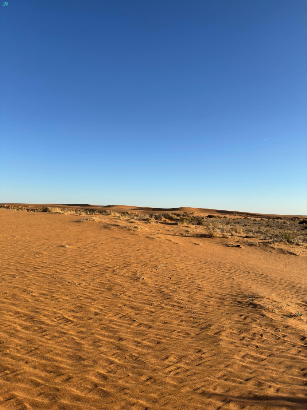The aesthetics of the sands in the Al-Daghma desert