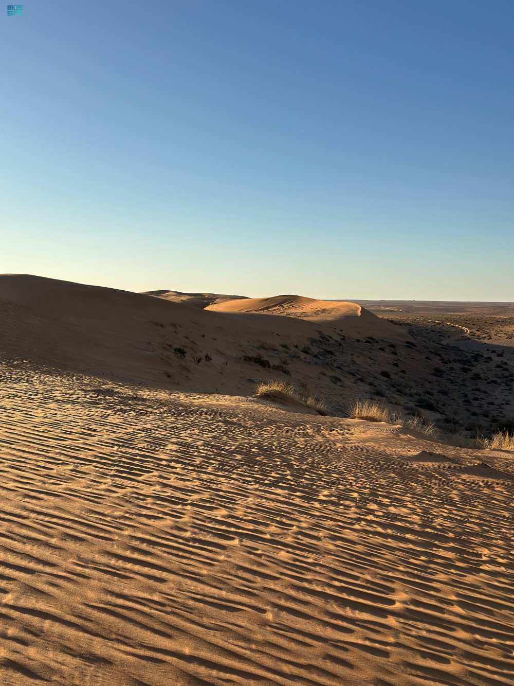 Camping in the Al-Daghma sand dunes