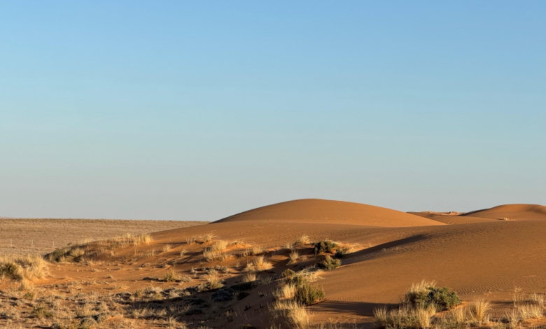 Nafud Al-Daghm: The magic of sands and history south of Lina in Rafha