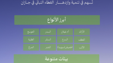 165 نوعاً نباتياً في جازان لدعم مبادرة السعودية الخضراء