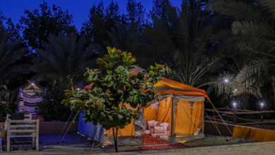 المزارع السياحية في الباحة: وجهة شتوية وتجارب ريفية لا تنسى