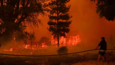 اتهامات لسياح إسرائيليين بإشعال حرائق تشيلي والأرجنتين