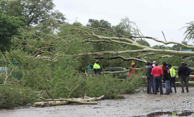 South Africa declares national disaster due to floods: details and casualties