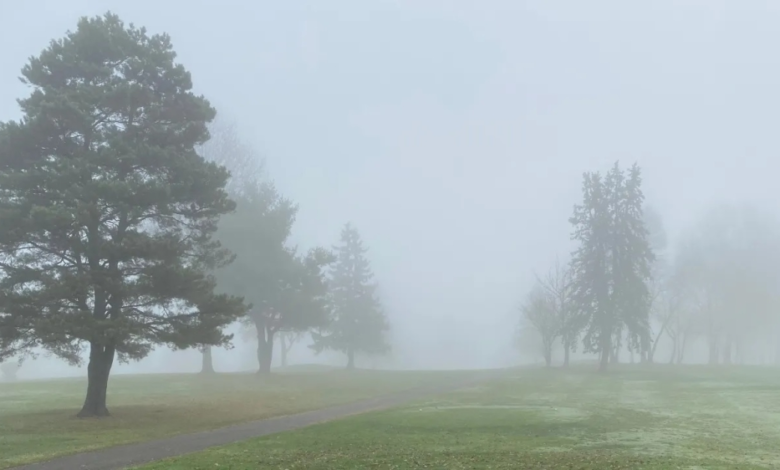 حالة الطقس اليوم: ضباب كثيف يغطي 8 مناطق سعودية وتنبيهات للسائقين