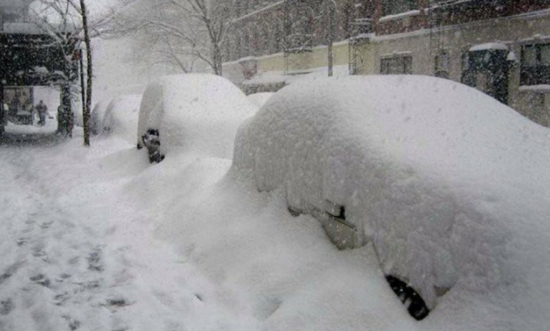 الثلوج في فلوريدا: ظاهرة نادرة تتكرر للعام الثاني