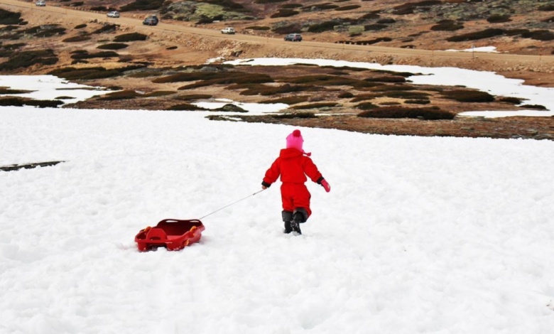 موجة قطبية في السعودية: حرارة دون الصفر وغبار كثيف