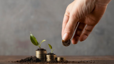 الفرق بين الصناديق العائلية والأهلية: مقارنة شاملة