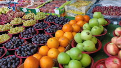 بيئة مكة تسلم 11 طناً من الخضار لجمعية خيرية بجدة