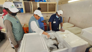 حملة على سوق السمك بمكة: مصادرة 160 كجم أسماك فاسدة