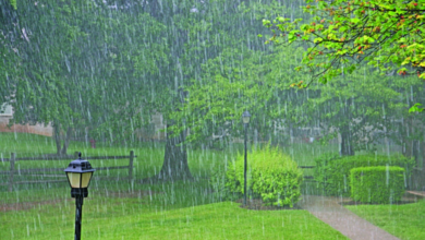 الأرصاد: أمطار غزيرة على 8 مناطق بالسعودية من الجمعة للأحد