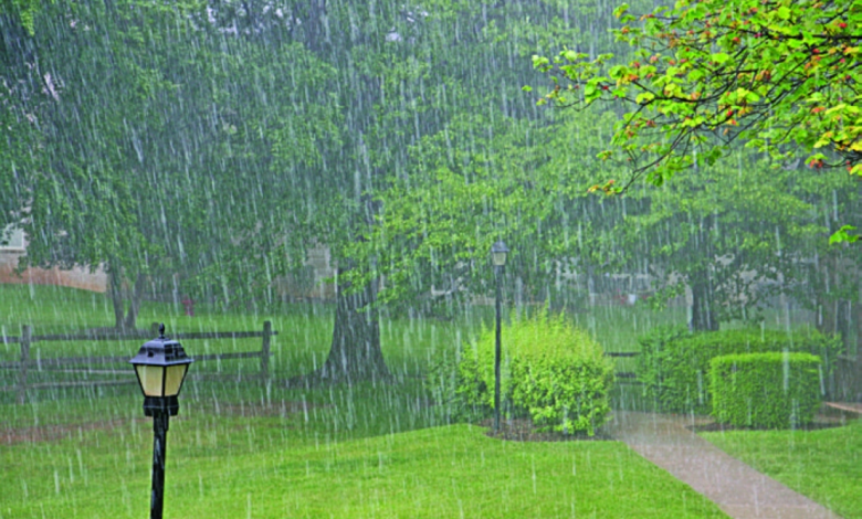 الأرصاد: أمطار غزيرة على 8 مناطق بالسعودية من الجمعة للأحد