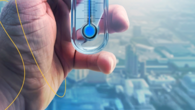 Saudi Arabia weather: Tarif below zero, frost and fog covering the north