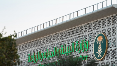 تنظيم جديد: نقل أسواق الماشية خارج المدن وتوثيق صفقات الإبل