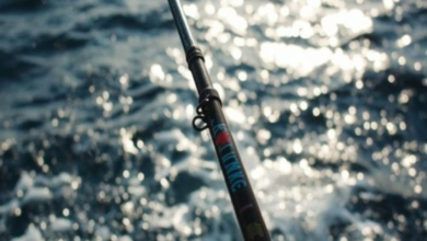 Jeddah border guards apprehend a violator of marine fishing regulations