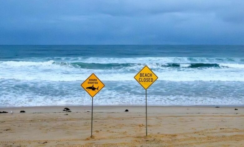 إغلاق شواطئ سيدني بعد هجمات أسماك القرش: تفاصيل وتحذيرات