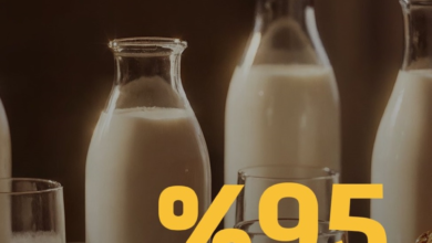 95% من حليب السعودية يحمل علامة سعودي قاب: إنجاز للأمن الغذائي