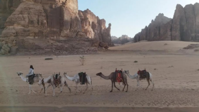 تاريخ طرق التجارة في العُلا: من قوافل الإبل إلى عربات الخيول