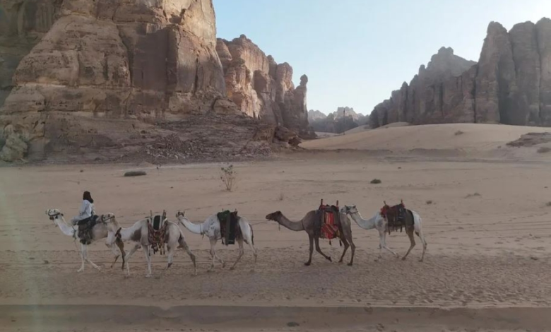 تاريخ طرق التجارة في العُلا: من قوافل الإبل إلى عربات الخيول