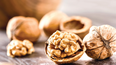 مفاهيم خاطئة عن التغذية الصحية: نصائح مجلس الصحة الخليجي