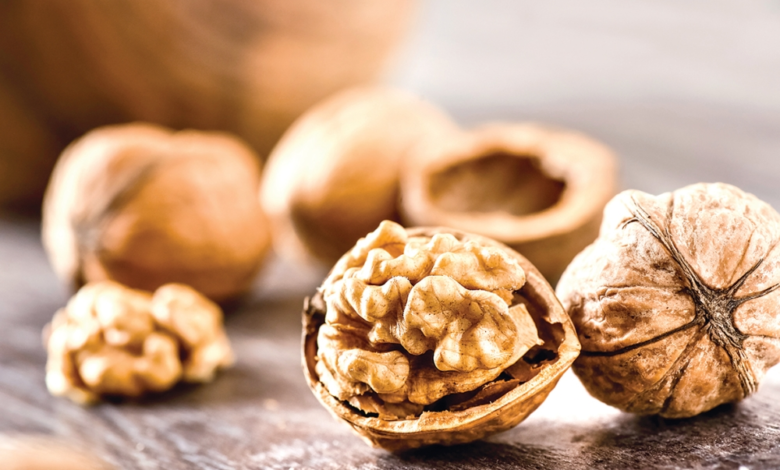 مفاهيم خاطئة عن التغذية الصحية: نصائح مجلس الصحة الخليجي