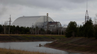Power outage at Chernobyl nuclear power plant: warnings and risks