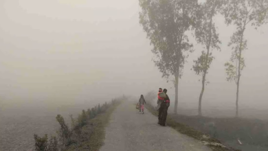 طقس السعودية: موجة باردة وصقيع في 4 مناطق وغبار بالشرقية