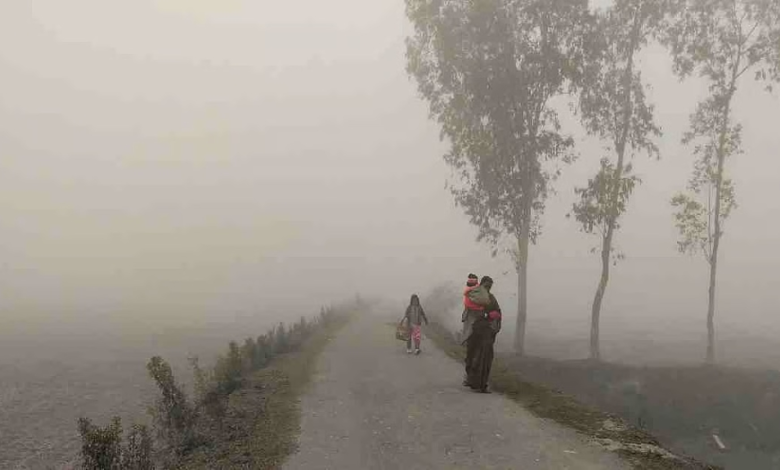 طقس السعودية: موجة باردة وصقيع في 4 مناطق وغبار بالشرقية