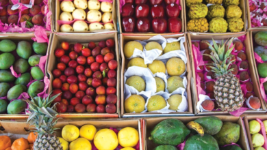 البيئة تعتمد التسجيل لتسهيل استيراد الخضروات والفواكه