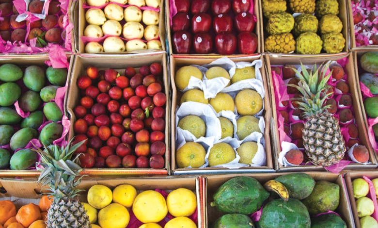 البيئة تعتمد التسجيل لتسهيل استيراد الخضروات والفواكه