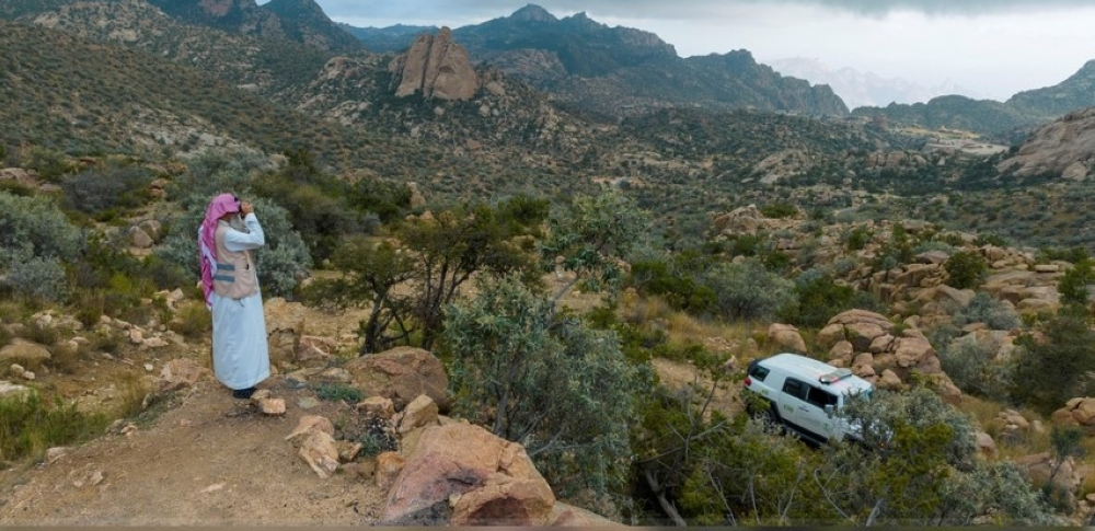 البرنامج الوطني للتشجير ومبادرة السعودية الخضراء