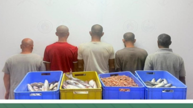 حرس الحدود بجازان يضبط 5 مخالفين للائحة الصيد البحري