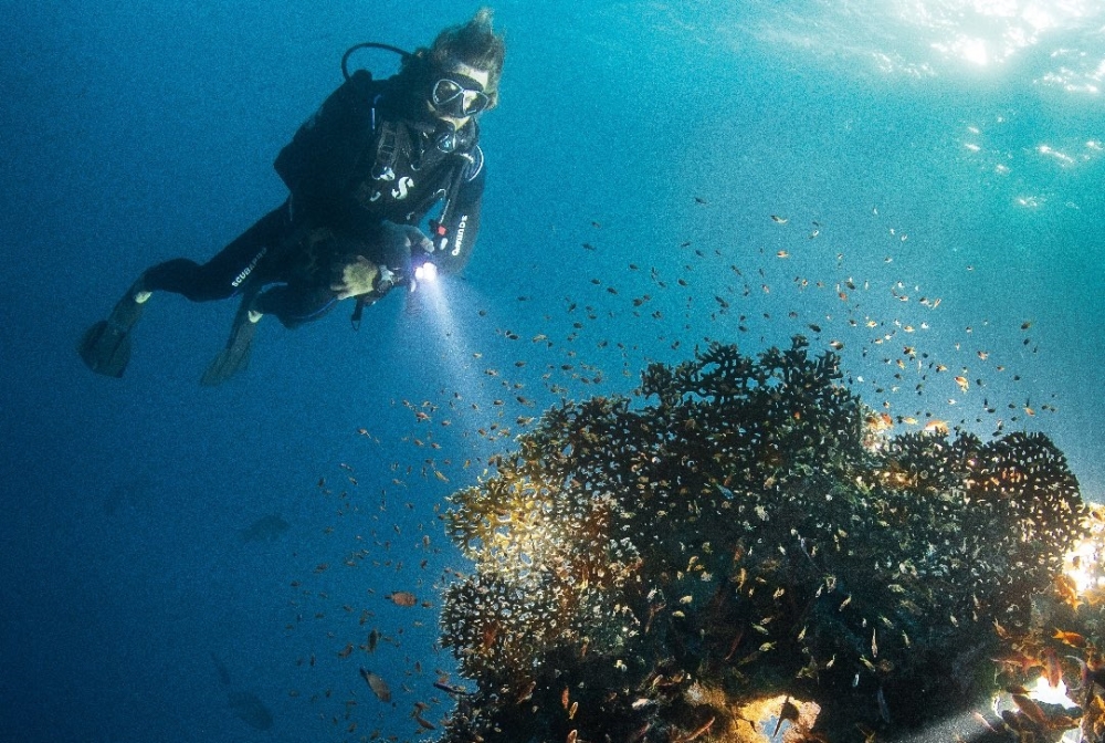 Protecting the marine environment in Saudi Arabia