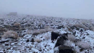 إنذار أصفر: موجة باردة وصقيع في 6 مناطق بالسعودية