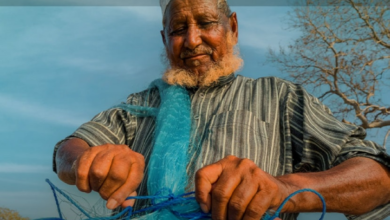 ريف السعودية يدعم الصيادين بـ 1450 محركاً وجهاز تتبع