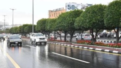 طقس الحدود الشمالية: أمطار غزيرة وسيول متوقعة وتنبيهات الأرصاد