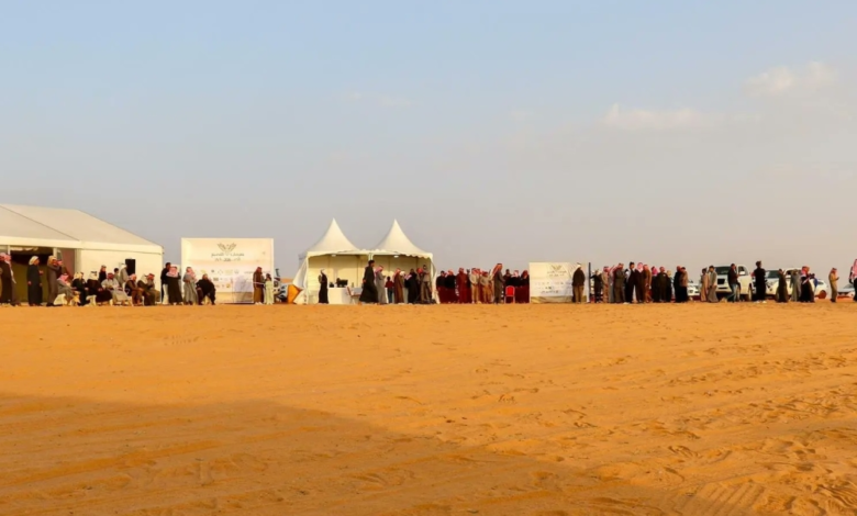 The Qassim Falconry Festival concluded in Al-Asyah with the participation of 675 falconers
