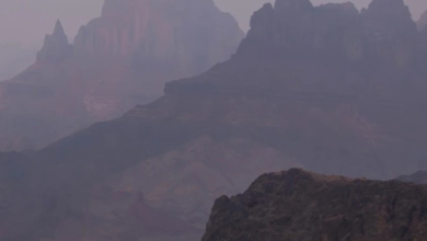 أمطار تبوك.. هطول غزير وتحذيرات من جريان السيول