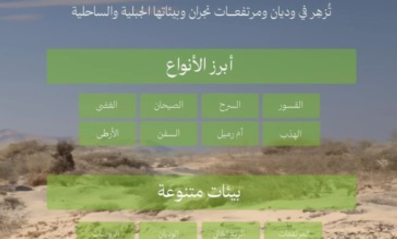 نباتات نجران المحلية: 22 نوعاً لدعم مبادرة السعودية الخضراء