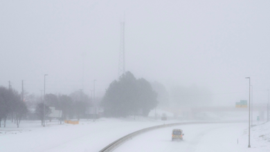 عاصفة شتوية تضرب أمريكا: طوارئ وإلغاء رحلات جوية