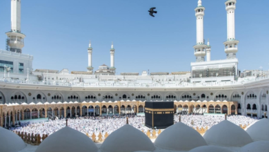 358 ألف مستفيد من الترجمة بالمسجد الحرام: تفاصيل المشروع