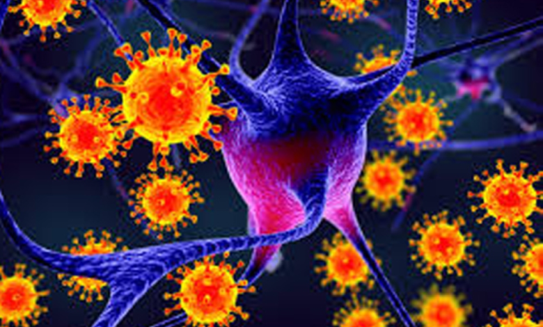 Nipah virus in India: Details of the new outbreak and lack of treatment