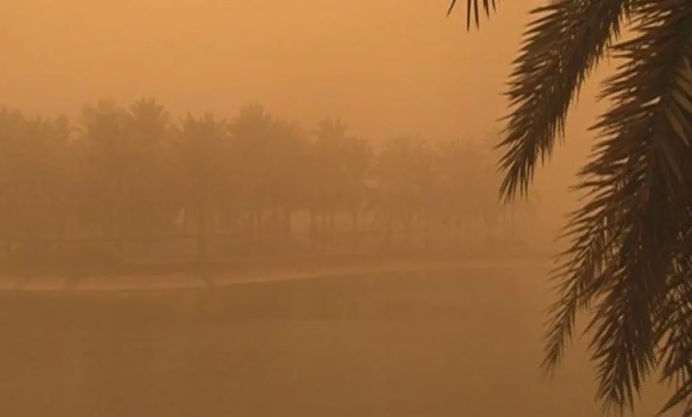 Red alert in Najran: Dust storms and zero visibility - Meteorology